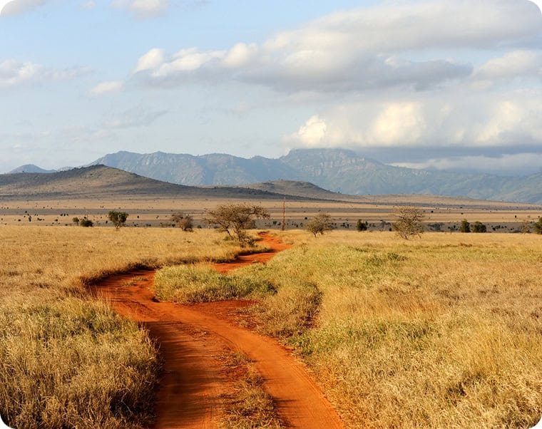 Digital illustration showing human torso with liver highlighted in orange and magnified hepatitis virus particle inset.