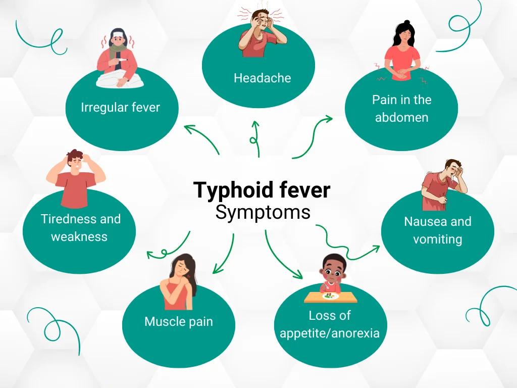 Medical illustration of typhoid fever symptoms including fever, headache, abdominal pain, nausea, loss of appetite, muscle pain, and weakness.