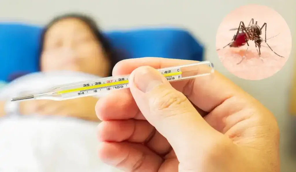 Hand holding a thermometer showing a high fever with a mosquito icon and a person blurred in the background.