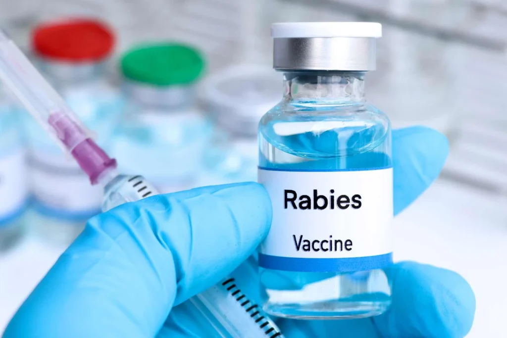Close-up of a gloved hand holding a vial labeled “Rabies Vaccine” with syringe nearby.