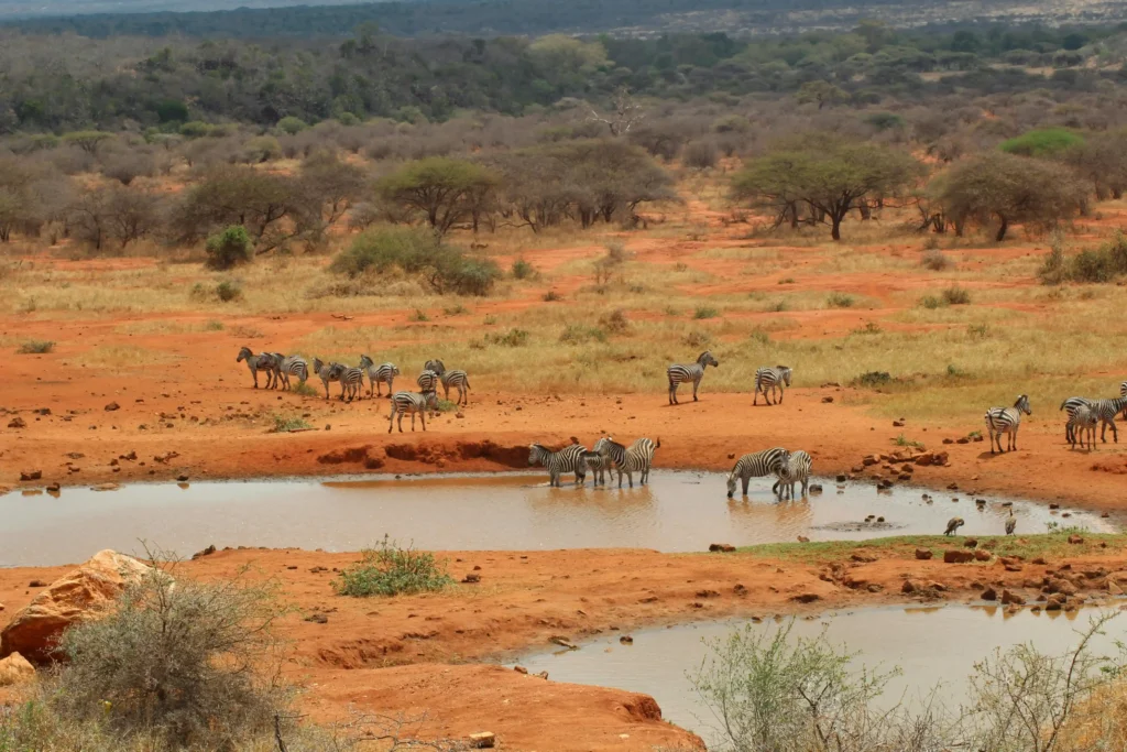 Africa as a travel destination